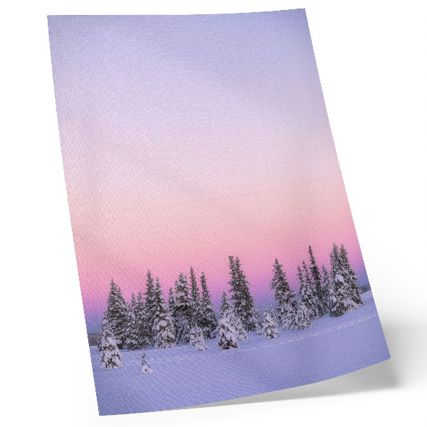 Poster decorativo Árvores de inverno, céu pastel melancólico, paz