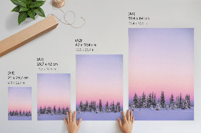 Poster decorativo Árvores de inverno, céu pastel melancólico, paz