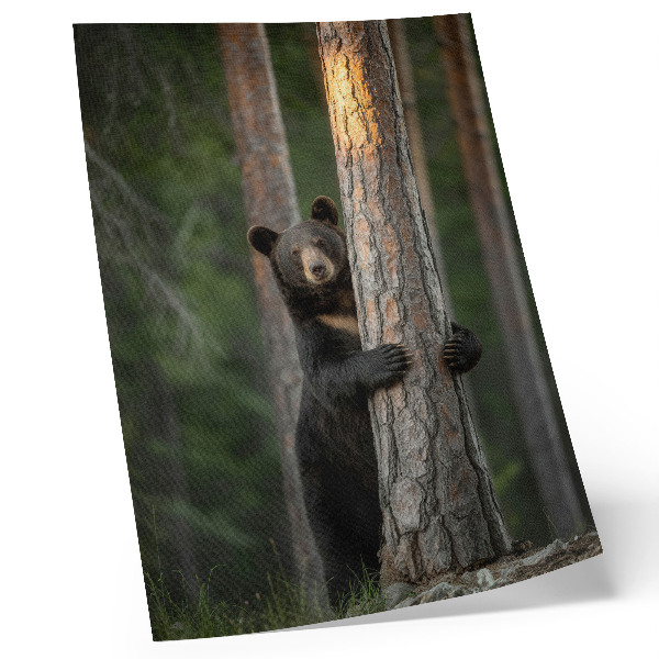 Poster para cozinha Urso na floresta, composição realista