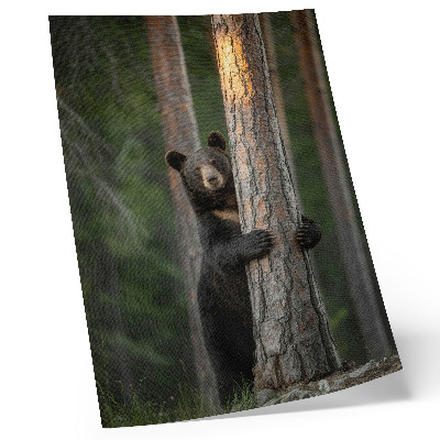 Poster para cozinha Urso na floresta, composição realista