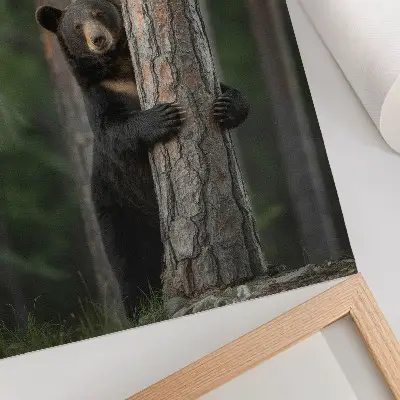 Poster para cozinha urso na floresta em composição realista