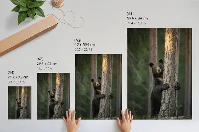 Poster para cozinha urso na floresta em composição realista