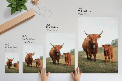 Arte de parede Gado rústico em meio a vegetação e árvores.