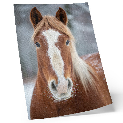 Arte de parede Retrato de cavalo no inverno, paz, naturalidade e harmonia.