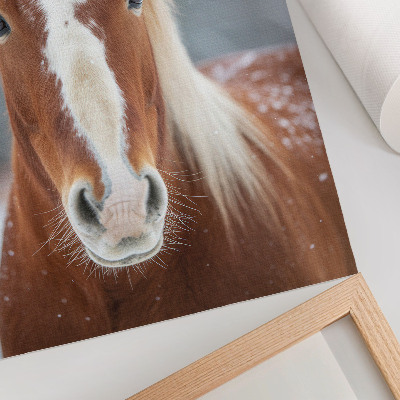 Arte de parede Retrato de cavalo no inverno, paz, naturalidade e harmonia.