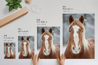 Arte de parede retrato de cavalo no inverno com tema de paz, naturalidade e harmonia