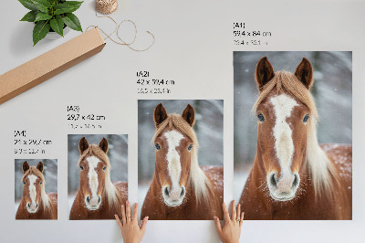 Arte de parede Retrato de cavalo no inverno, paz, naturalidade e harmonia.