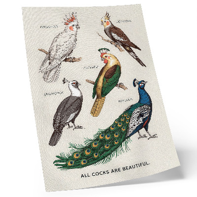 Arte de parede Pássaros elegantes, penas, cores diversas