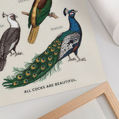 Arte de parede Pássaros elegantes, penas, cores diversas