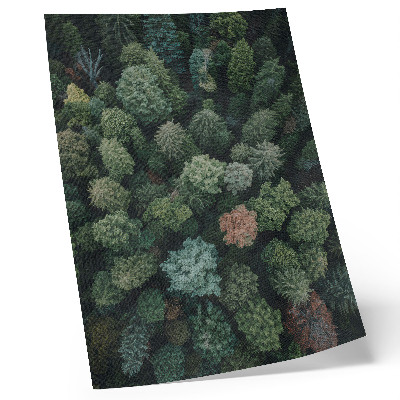 Poster para cozinha Paisagem florestal vista de cima com diversas cores de folhas