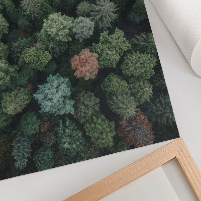 Poster para cozinha Paisagem florestal vista de cima com diversas cores de folhas
