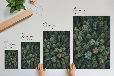 Poster para cozinha Paisagem florestal vista de cima com diversas cores de folhas