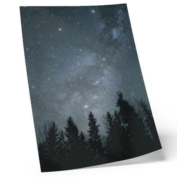 Impressão em tela Um céu noturno repleto de estrelas e silhuetas de árvores.