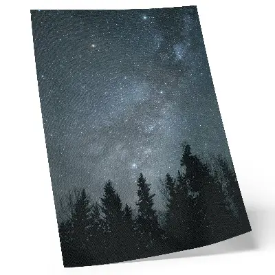 Impressão em tela céu noturno repleto de estrelas com silhuetas de árvores