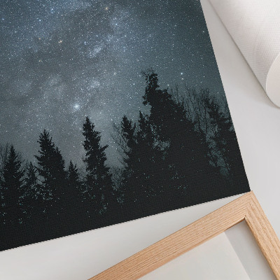 Impressão em tela Um céu noturno repleto de estrelas e silhuetas de árvores.
