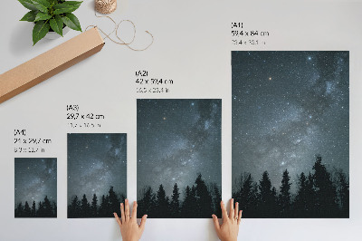 Impressão em tela Um céu noturno repleto de estrelas e silhuetas de árvores.