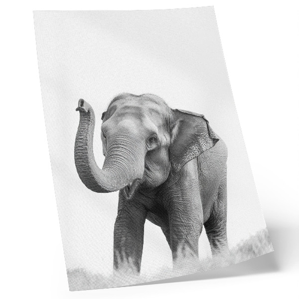 Arte de parede Elefante monocromático com tromba erguida