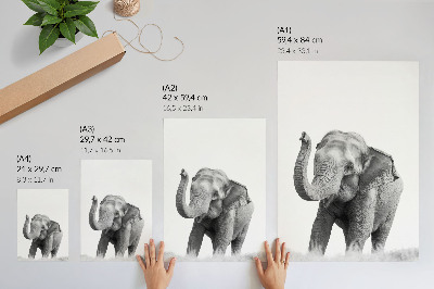 Arte de parede Elefante monocromático com tromba erguida