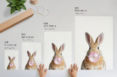Poster para cozinha Coelhos, animais, chiclete rosa