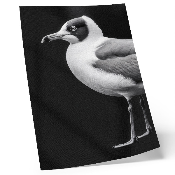 Poster decorativo Estilo minimalista com contraste em preto e branco.