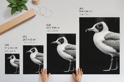 Poster decorativo Estilo minimalista com contraste em preto e branco.