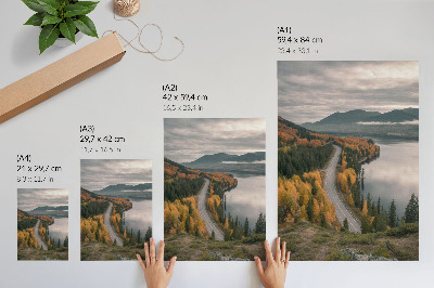 Poster para cozinha Uma estrada pitoresca entre as árvores, junto ao lago.