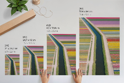 Arte de parede Listras coloridas de flores ao longo do canal