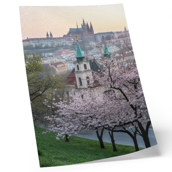 Poster decorativo Na primavera, a cidade fica repleta de árvores floridas e torres de igrejas.