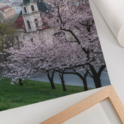 Poster decorativo Na primavera, a cidade fica repleta de árvores floridas e torres de igrejas.