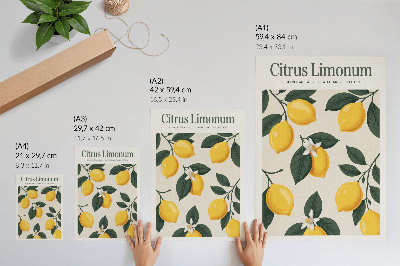 Impressão em tela Limões suculentos, folhas verdes, fundo creme