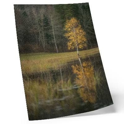 Poster decorativo Uma árvore dourada em contraste com a escuridão da floresta e do lago.
