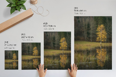 Poster decorativo Uma árvore dourada em contraste com a escuridão da floresta e do lago.