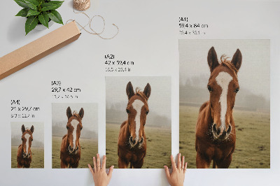 Arte de parede Tons quentes de marrom e cavalos brancos em perspectiva