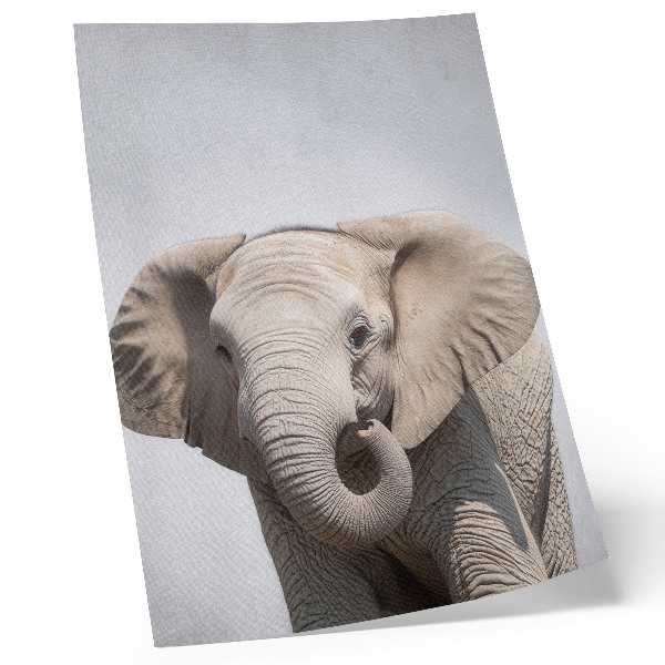 Arte de parede Um elefante jovem em um fundo claro.