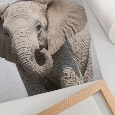 Arte de parede de um elefante jovem em fundo claro