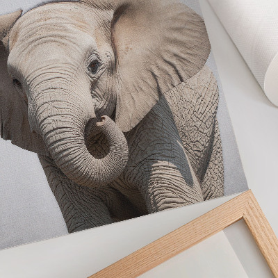 Arte de parede Um elefante jovem em um fundo claro.