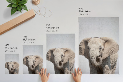 Arte de parede Um elefante jovem em um fundo claro.