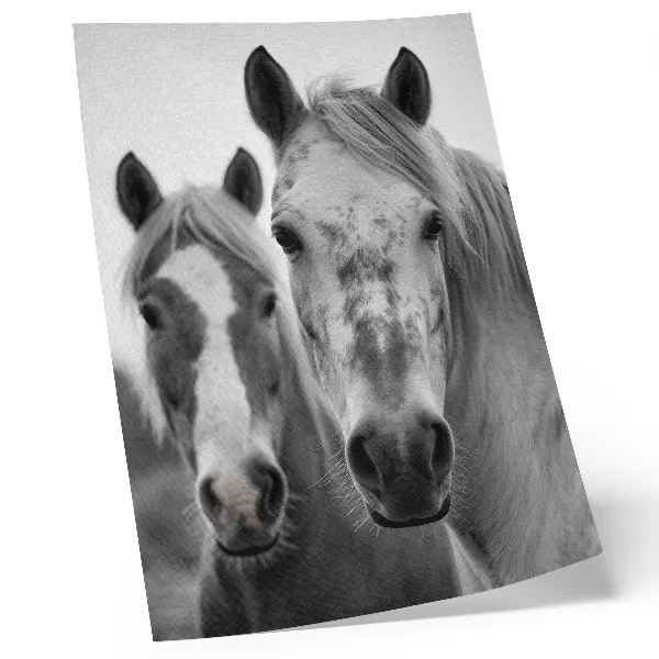 Arte de parede cavalos em uma foto monocromática elegante