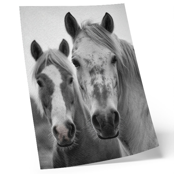 Arte de parede Cavalos em uma foto monocromática repleta de elegância.