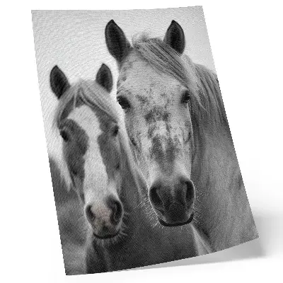 Arte de parede cavalos em uma foto monocromática elegante