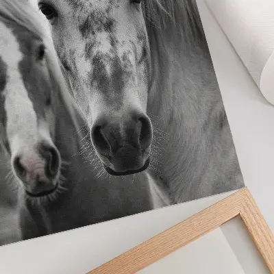Arte de parede cavalos em uma foto monocromática elegante