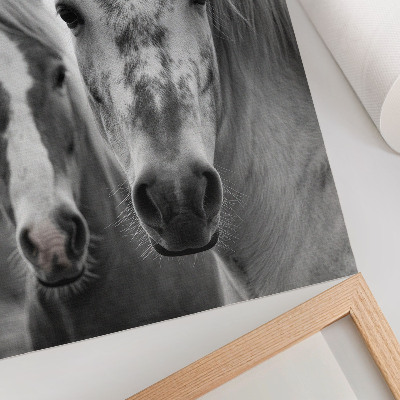 Arte de parede Cavalos em uma foto monocromática repleta de elegância.