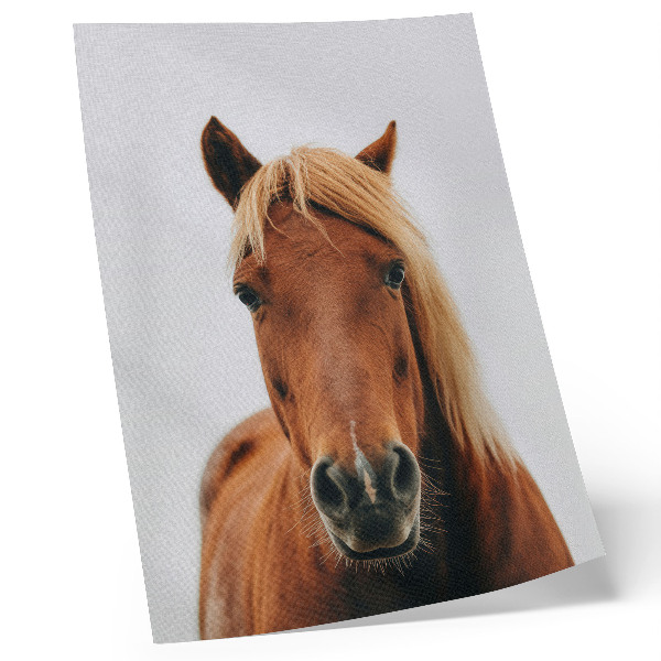 Arte de parede Retrato de cavalo minimalista, beleza natural e elegância.