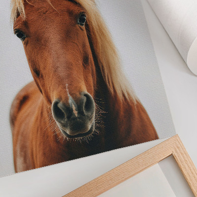 Arte de parede Retrato de cavalo minimalista, beleza natural e elegância.