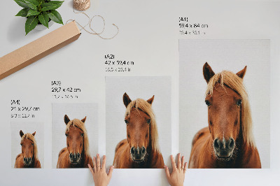 Arte de parede Retrato de cavalo minimalista, beleza natural e elegância.