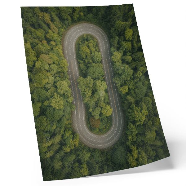 Poster decorativo Uma estrada estreita e sinuosa que atravessa a floresta verdejante.