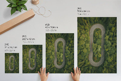 Poster decorativo Uma estrada estreita e sinuosa que atravessa a floresta verdejante.