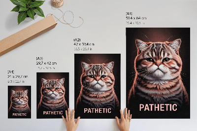 Impressão em tela Retrato de um gato com pelagem distinta e olhar profundo.