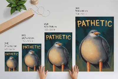 Poster para cozinha Pássaro engraçado com cores incomuns em fundo turquesa