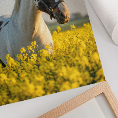 Poster para cozinha Um elegante cavalo em um campo florido na primavera.